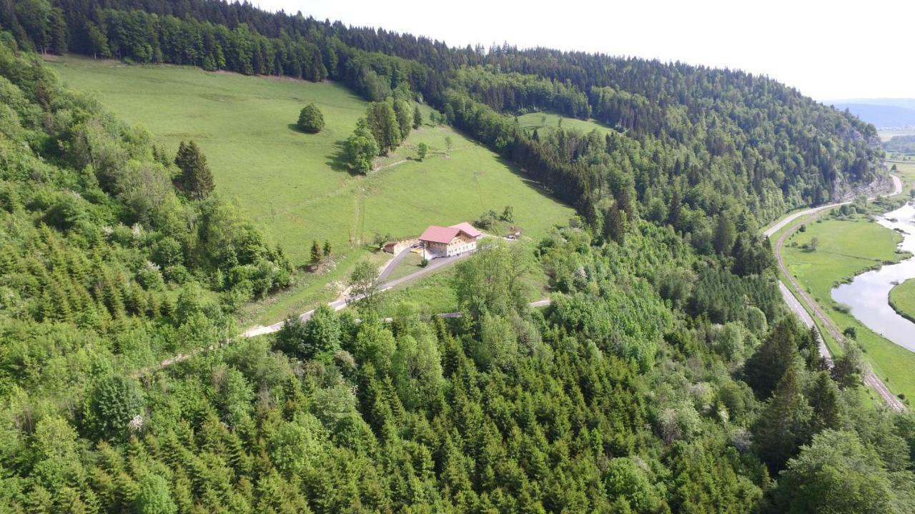 La Guillemette *